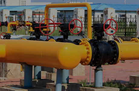 Compania din grup a obținut licență de producție pentru produse industriale