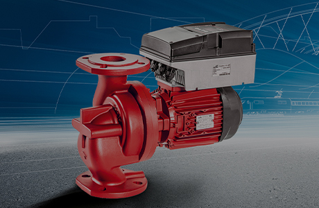 Certificat de rating de credit [nivel AAA]